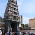 IMG 5577