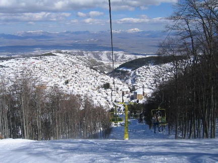 IMG 0288