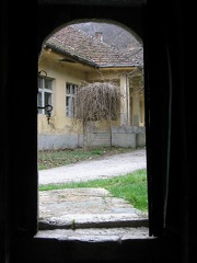 IMG 0413