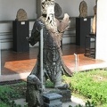 IMG 3550