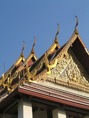 IMG 3596