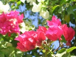 IMG_3272.jpg