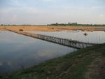 seasonal baboo bridge, Kampong Cham