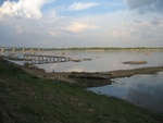 IMG_5010.jpg