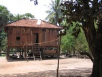 IMG_5048.jpg