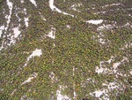 IMG_5050.jpg