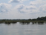 IMG_5070.jpg