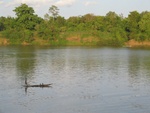 IMG_5104.jpg
