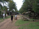 IMG_5134.jpg