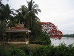 IMG_5148.jpg