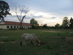 IMG_5160.jpg