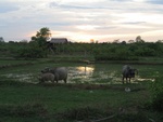 IMG_5165.jpg