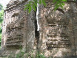IMG_5259.jpg
