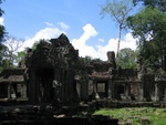 IMG_5339.jpg