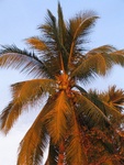 IMG_5169.jpg