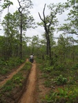 the road ahead - for four bumpy hours