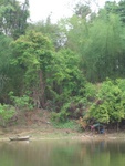 IMG_5095.jpg