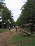IMG_5135.jpg