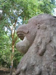 IMG_5239.jpg