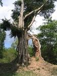 Nature has taken its toll
