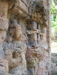 IMG_5257.jpg