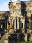 IMG_5295.jpg