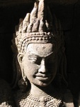 IMG_5323.jpg