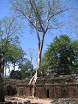 IMG_5367.jpg