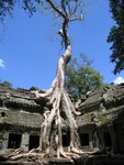 IMG_5370.jpg