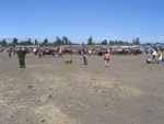 Market Day in Adaba