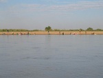 IMG_0771.jpg