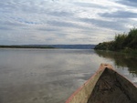 IMG_0781.jpg