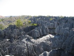 IMG_0839.jpg