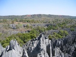 IMG_0840.jpg