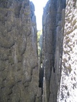 IMG_0852.jpg
