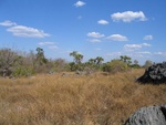IMG_0853.jpg