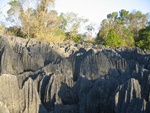 IMG_0859.jpg
