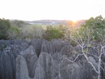 IMG_0862.jpg
