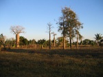 IMG_0891.jpg