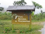 3 days hiking in the rain forest