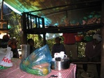 campsite in the primary forest