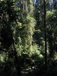 IMG_0946.jpg