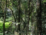IMG_0952.jpg