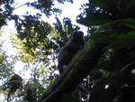 IMG_0980.jpg