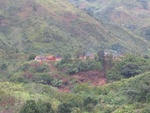 IMG_1013.jpg