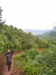 IMG_1014.jpg