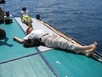 waiting for whales