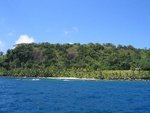 IMG_1037.jpg