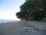 IMG_1045.jpg