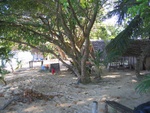 IMG_1047.jpg